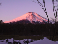 冠雪が朝焼けに染まる「紅富士」