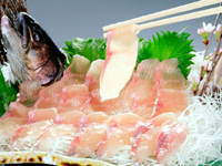 特別料理の岩魚の姿造り